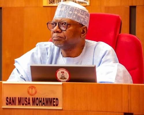 Senate Committee on Finance, Senator Sani Musa