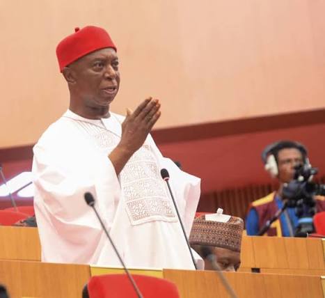 Senator Ned Nwoko