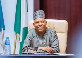 Vice President Kashim Shettima