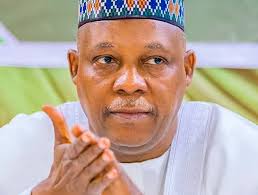 Vice President Kashim Shettima