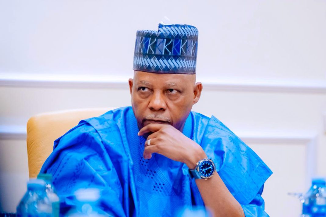 Vice President Kashim Shettima