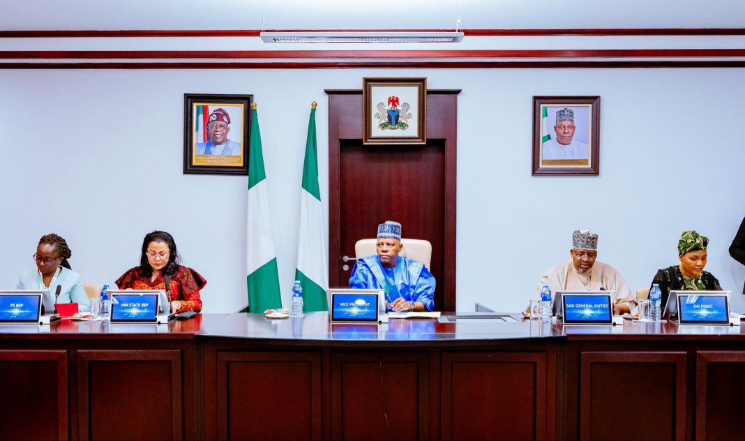 Vice President Kashim Shettima