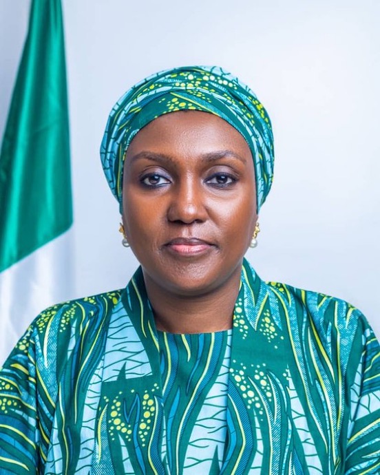 Director-General of NEMA, Zubaida Umar
