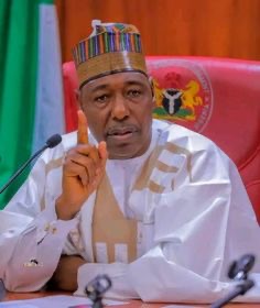 Borno State Governor, Babagana Umara Zulum