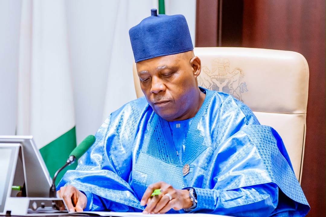 Vice President Kashim Shettima